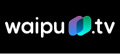 Interview zum Angebot von waipu waipu.tv